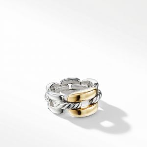 David Yurman Wellesley Link Medium Chain Link Ring with 18K Gold